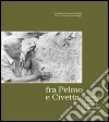 Fra Pelmo e Civetta: la montagna attraverso lo sguardo di Giovanni Angelini. Ediz. italiana e inglese libro