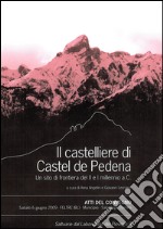 Il castelliere di Castel de Pedena. Un sito di frontiera del II e I millennio a. C. Atti del Convegno libro