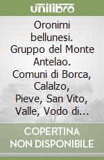 Oronimi bellunesi. Gruppo del Monte Antelao. Comuni di Borca, Calalzo, Pieve, San Vito, Valle, Vodo di Cadore. Ricerca in itinere sotto la guida del prof. G.B. Pellegrini libro