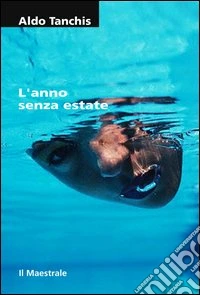 L'anno senza estate libro