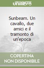 Sunbeam. Un cavallo, due amici e il tramonto di un'epoca libro