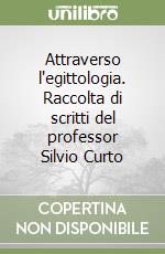 Attraverso l'egittologia. Raccolta di scritti del professor Silvio Curto libro