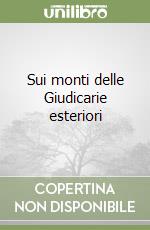 Sui monti delle Giudicarie esteriori libro