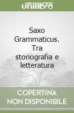 Saxo Grammaticus. Tra storiografia e letteratura