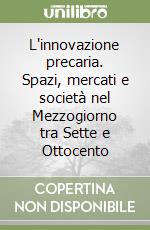 L'innovazione precaria. Spazi, mercati e società nel Mezzogiorno tra Sette e Ottocento libro