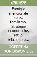 Famiglia meridionale senza familismo. Strategie economiche, reti di relazione e parentela libro