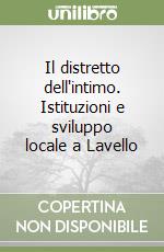 Il distretto dell'intimo. Istituzioni e sviluppo locale a Lavello