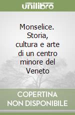 Monselice. Storia, cultura e arte di un centro minore del Veneto