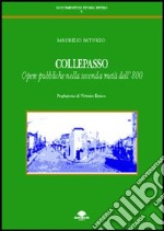 Collepasso. Opere pubbliche nella seconda metà dell'800