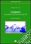 Collepasso. Opere pubbliche nella seconda metà dell'800 libro di Paturzo Maurizio