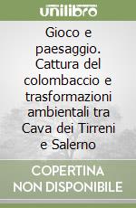 Gioco e paesaggio. Cattura del colombaccio e trasformazioni ambientali tra Cava dei Tirreni e Salerno libro