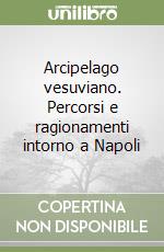 Arcipelago vesuviano. Percorsi e ragionamenti intorno a Napoli libro