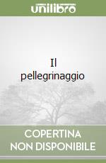 Il pellegrinaggio