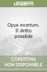 Opus incertum. Il diritto possibile
