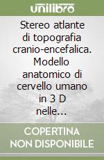 Stereo atlante di topografia cranio-encefalica. Modello anatomico di cervello umano in 3 D nelle proporzioni della medio-normalità