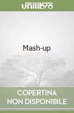 Mash-up libro