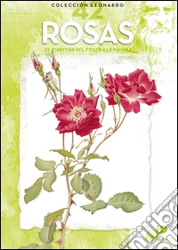 Rosas