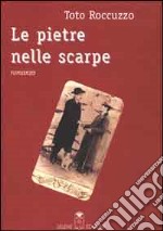 Le pietre nelle scarpe libro