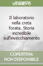 Il laboratorio nella creta forata. Storia incredibile sull'invecchiamento libro