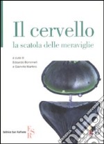 Il cervello. La scatola delle meraviglie