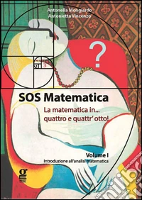 SOS matematica. La matematica in quattro e quattr'otto!. Vol. 1: Introduzione all'analisi matematica libro