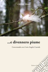 ... E divennero piume. Conversando con il mio angelo custode