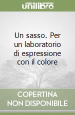 Un sasso. Per un laboratorio di espressione con il colore libro