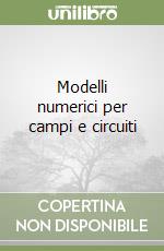 Modelli numerici per campi e circuiti