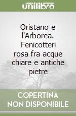 Oristano e l'Arborea. Fenicotteri rosa fra acque chiare e antiche pietre