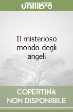 Il misterioso mondo degli angeli libro