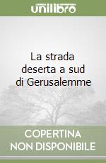 La strada deserta a sud di Gerusalemme libro