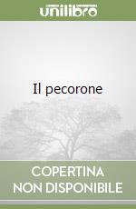 Il pecorone libro