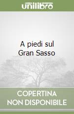 A piedi sul Gran Sasso libro