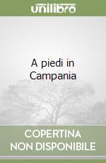 A piedi in Campania (2) libro