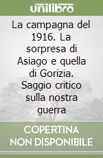 La campagna del 1916. La sorpresa di Asiago e quella di Gorizia. Saggio critico sulla nostra guerra