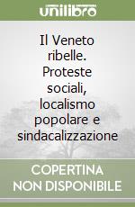 Il Veneto ribelle. Proteste sociali, localismo popolare e sindacalizzazione