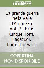 La grande guerra nella valle d'Ampezzo. Vol. 2: 1916. Cinque Torri, Lagazuoi, Forte Tre Sassi
