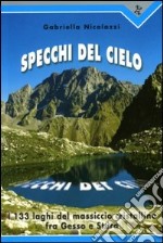 Specchi del cielo. I 133 laghi del massiccio cristallino fra Gesso e Stura libro