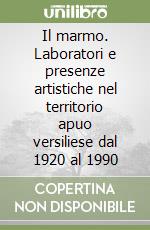 Il marmo. Laboratori e presenze artistiche nel territorio apuo versiliese dal 1920 al 1990 libro