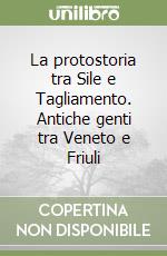 La protostoria tra Sile e Tagliamento. Antiche genti tra Veneto e Friuli