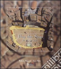 Flug über Siena. Die form der stadt