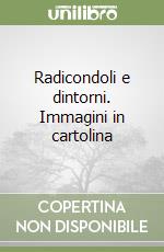 Radicondoli e dintorni. Immagini in cartolina libro