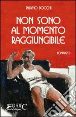 Non sono al momento raggiungibile libro