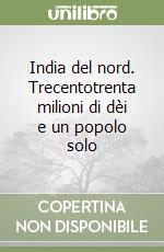 India del nord. Trecentotrenta milioni di dèi e un popolo solo