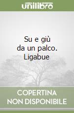 Su e giù da un palco. Ligabue libro