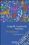 Nel labirinto. Itinerari metropolitani libro