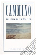 Camino libro