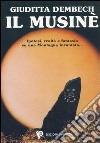 Il Musinè. Ipotesi su una montagna incantata libro