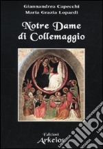 Notre dame di Collemaggio libro