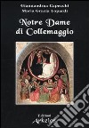 Notre dame di Collemaggio libro